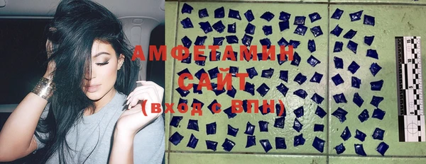 твердый Алексин