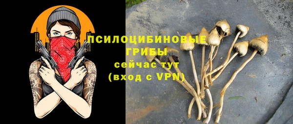 дживик Алзамай