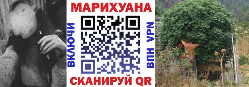 где можно купить наркотик  Сасово  Бошки марихуана тримм 